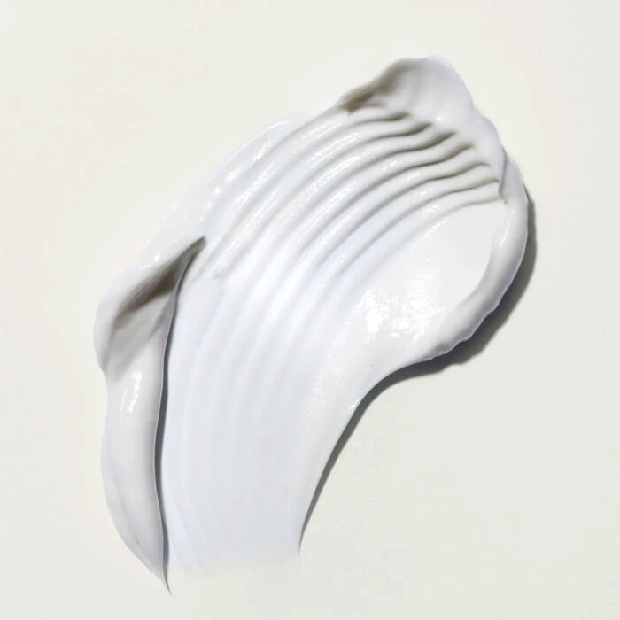 MDLP-DEFINI-0001_4.jpg